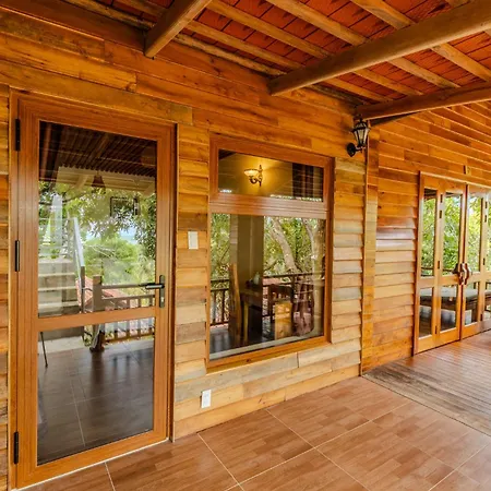 Mango Beach Resort-3