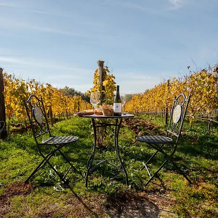 Al Piglio Maison De Charme Wine & Wellness Resort-2
