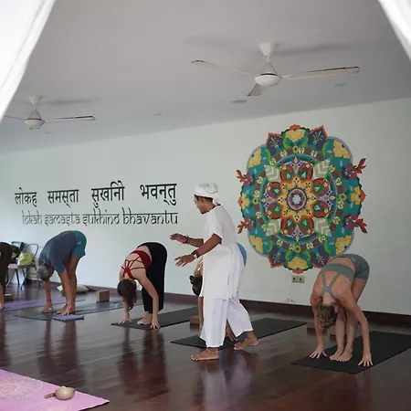 De Moksha Eco Friendly Boutique Resort-2