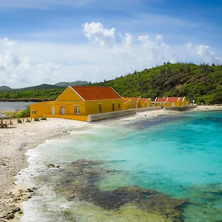 Delfins Beach Resort Bonaire, Tapestry Collection By Hilton-3
