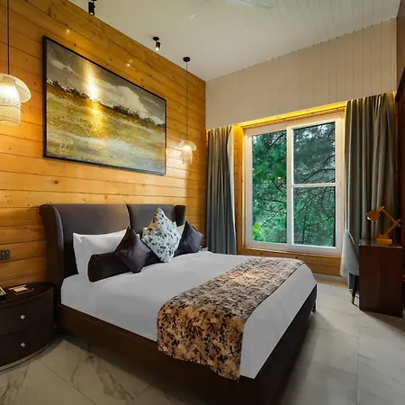 Kasauli Hills Resort-2