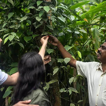 Spice Village Thekkady - A Cgh Earth Experience-2