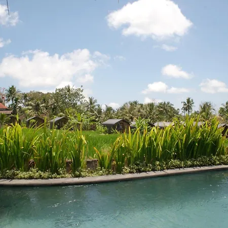 Mesari Hotel Ubud-2