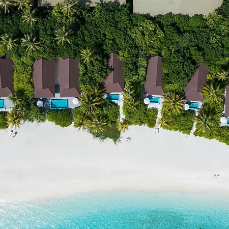The Standard, Maldives, By Hyatt (Adults Only)-3