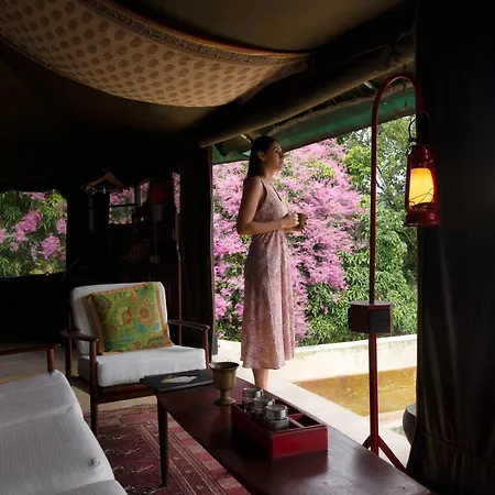 Madulkelle Tea And Eco Lodge-2