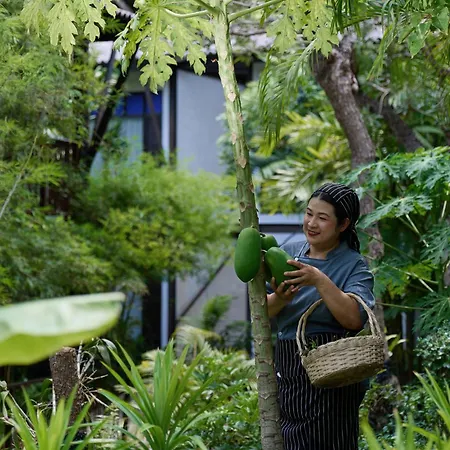 Homm Chura Samui (Adults Only)-3