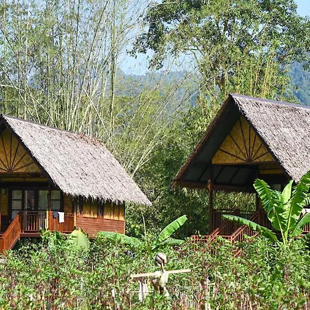 Our Jungle Camp-2