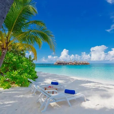 Angaga Island Resort And Spa-2