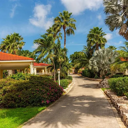 Sonesta Hotels & Resorts Livingstone Curacao-2
