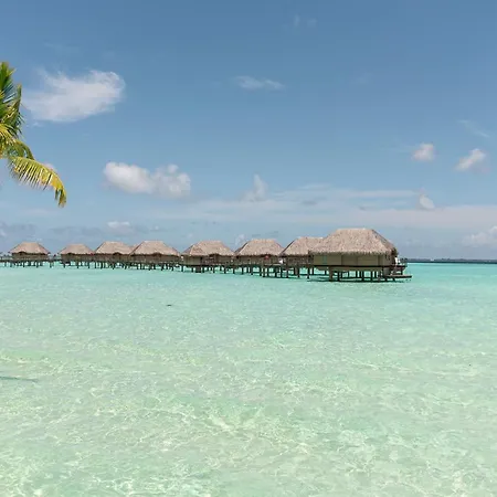 Le Taha'A By Pearl Resorts-2