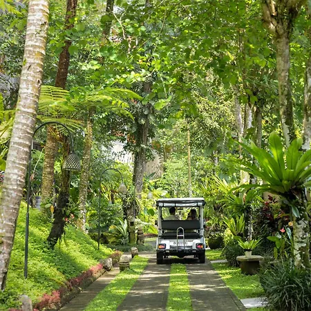 The Lokha Ubud Resort, Villas & Spa-2
