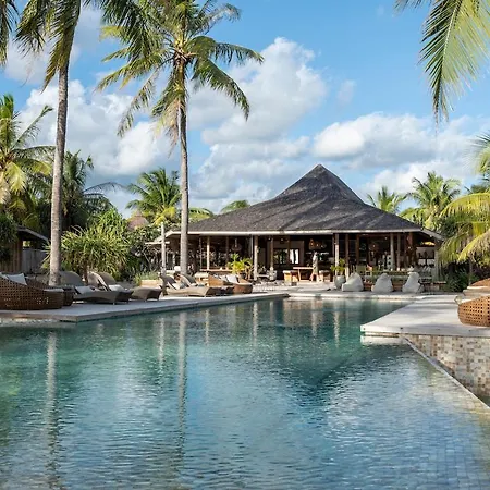 Seed Resort-3