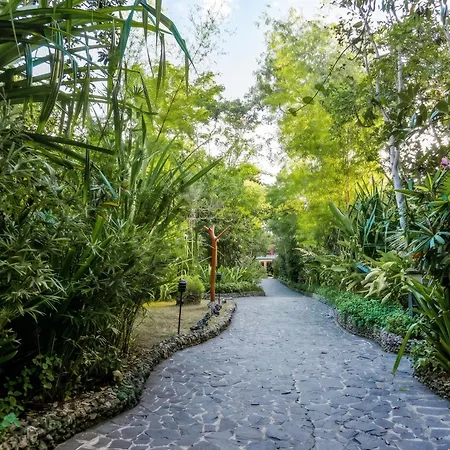Donatela Resort & Sanctuary-2