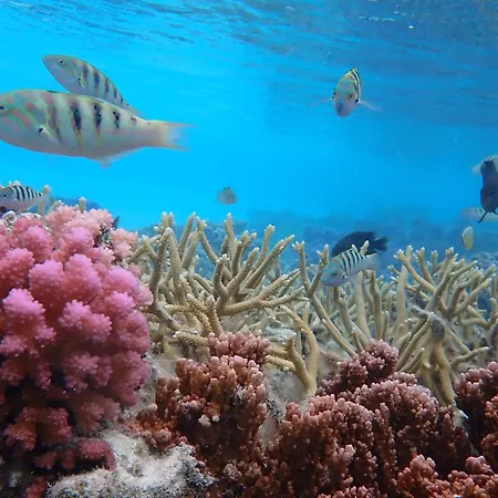 Conrad Bora Bora Nui-3