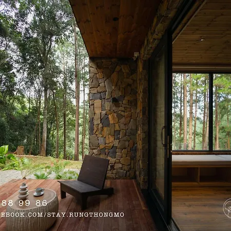 Mo Stay - Forest Resort-2