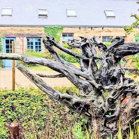 Domaine Le Puits De Jeanne-2