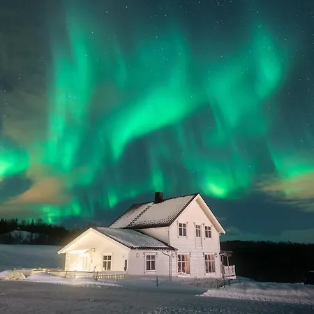 Aurora Borealis Observatory-3