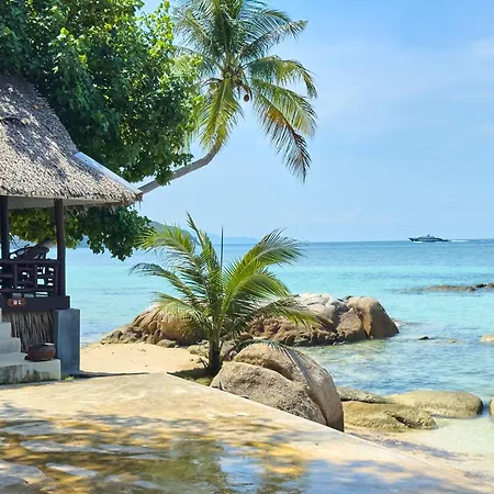 Ocean Vibes Resort-2
