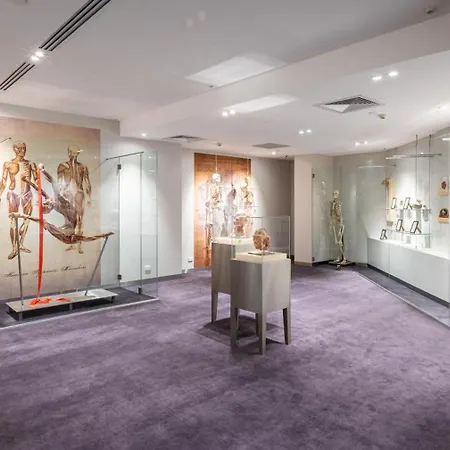 Hilton Surfers Paradise Hotel & Residences-2