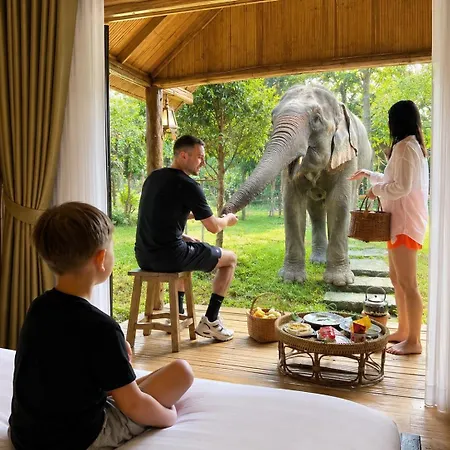 3Pok Wake With Elephants-3