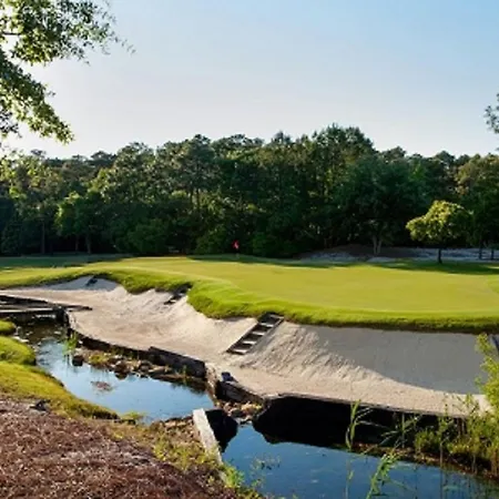 Pawley'S True Blue-3
