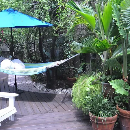 Pineapple Point Guesthouse & Resort - Gay Men'S Resort-3