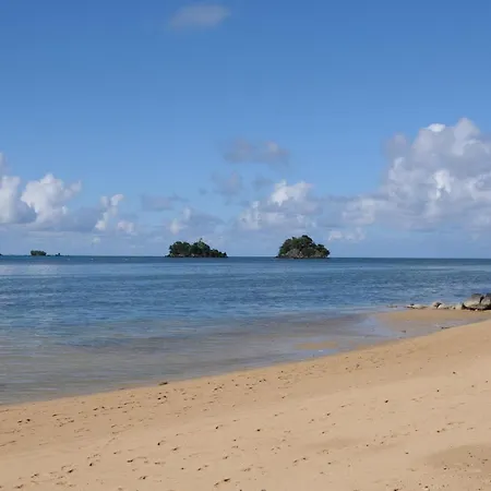 Coconut Grove Beachfront Resort-2