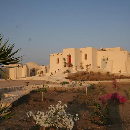 The Oasis-3
