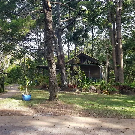 Byron Bay Rainforest Resort-3