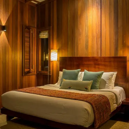 Niraamaya Retreats Cardamom Club-3