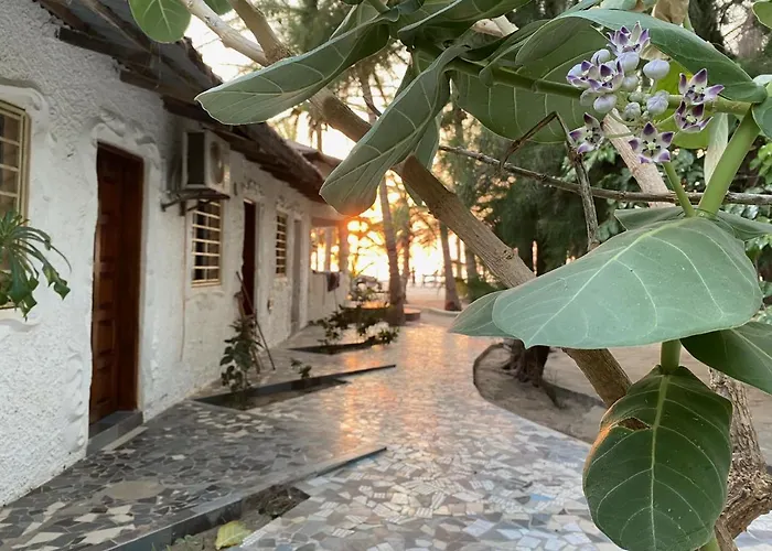 Jungle Beach Resort