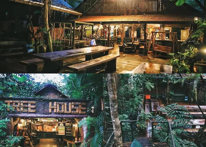 Khao Sok Tree House Resort Khao Sok National Park
