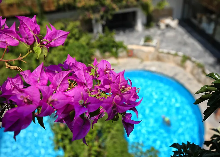 Sitia Beach City Resort & Spa