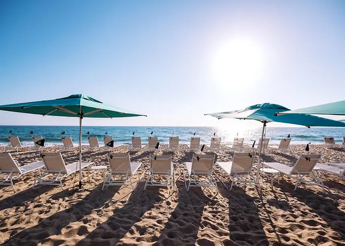 Tideline Palm Beach Ocean Resort And Spa
