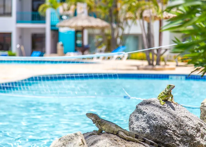 Courtyard By Marriott Aruba Resort Palm Beach
