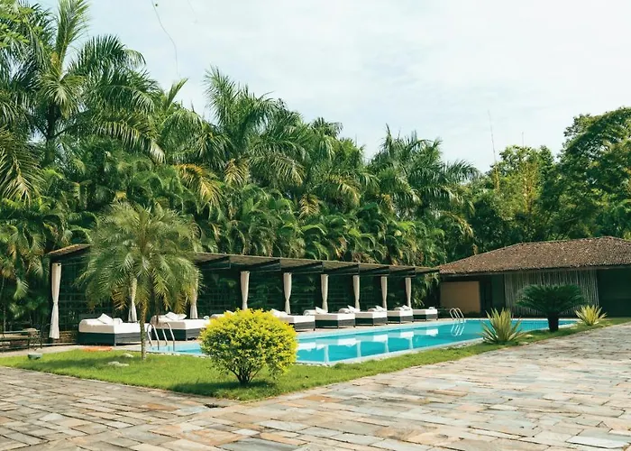 Kasara Chitwan Hotel Patlahara