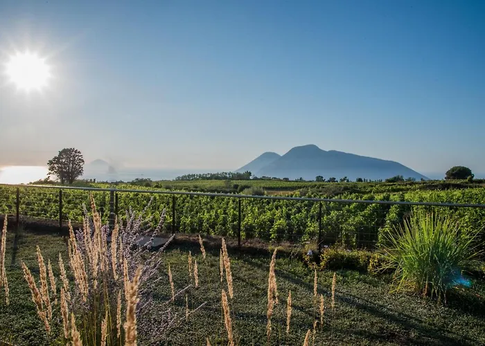 Tenuta Di Castellaro Winery & Resort Lipari 