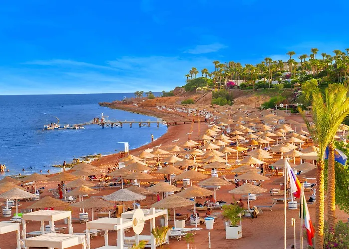 Domina Coral Bay Resort, Diving , Spa & Casino