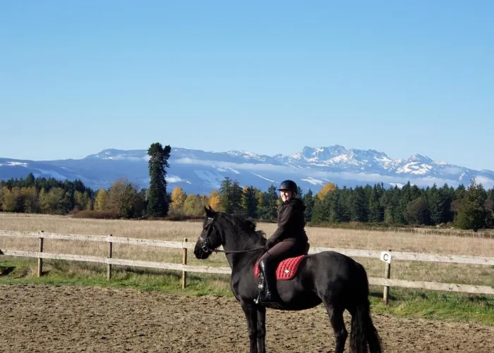 Paradise Acres Ranch