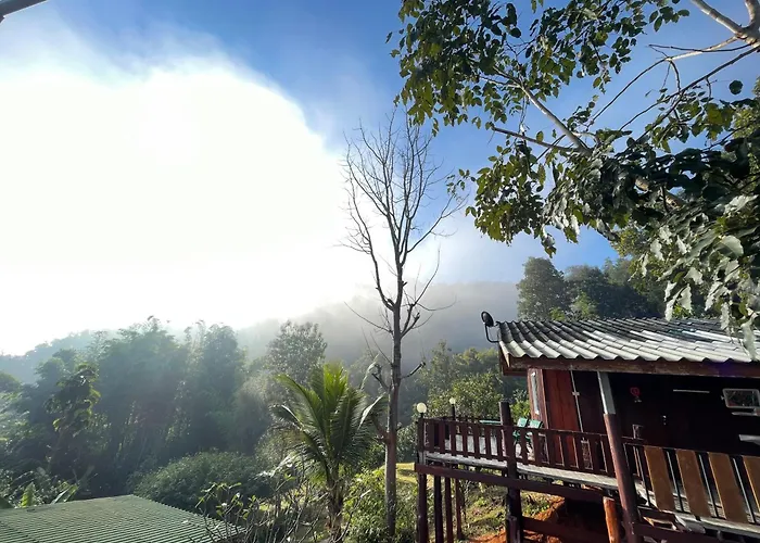 Forest Guesthouse
