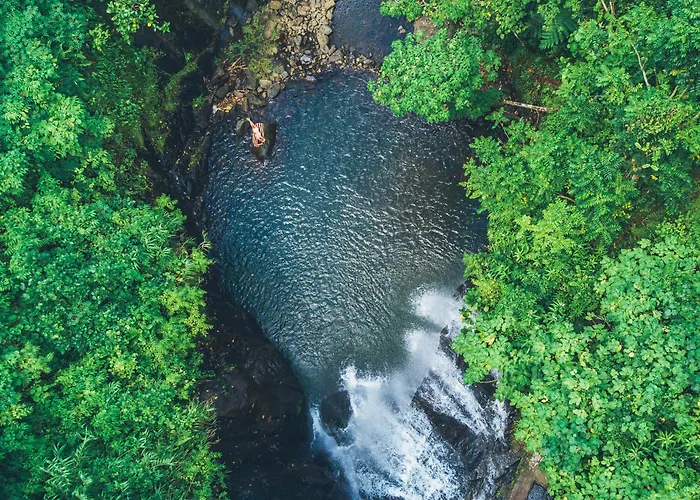 Koro Sun Resort & Rainforest Spa Savusavu