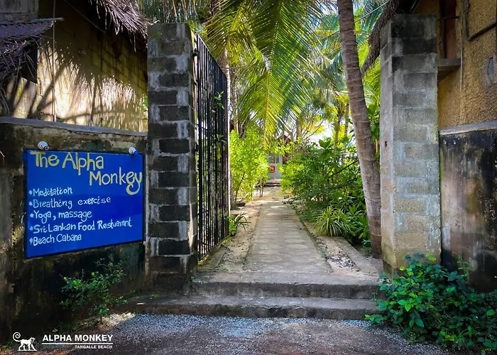 The Alpha Monkey Hotel & Tree House