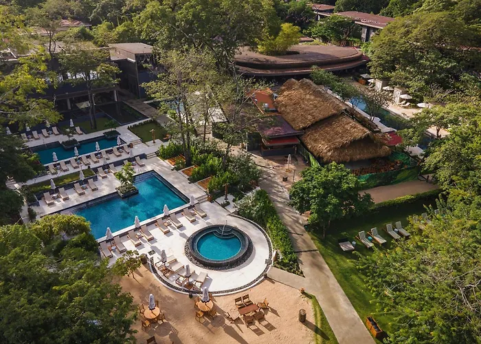 El Mangroove Papagayo, Autograph Collection