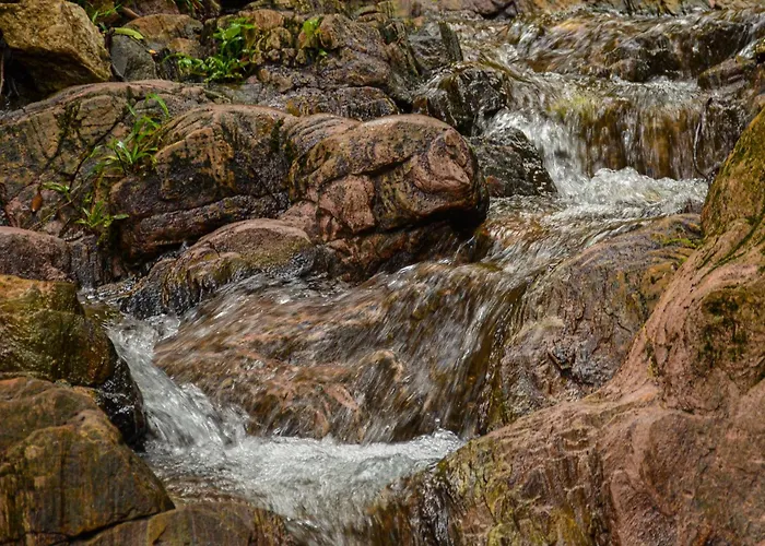 Ikogosi Warm Springs Resort