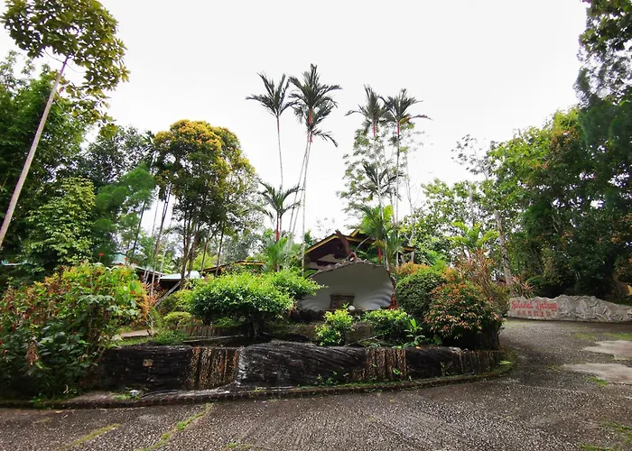 Sepilok Jungle