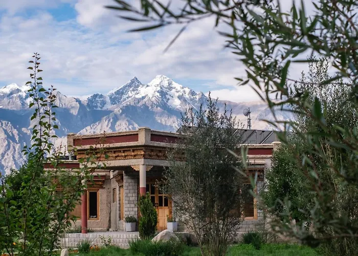 Lchang Nang Retreat-The House Of Trees-Nubra Valley