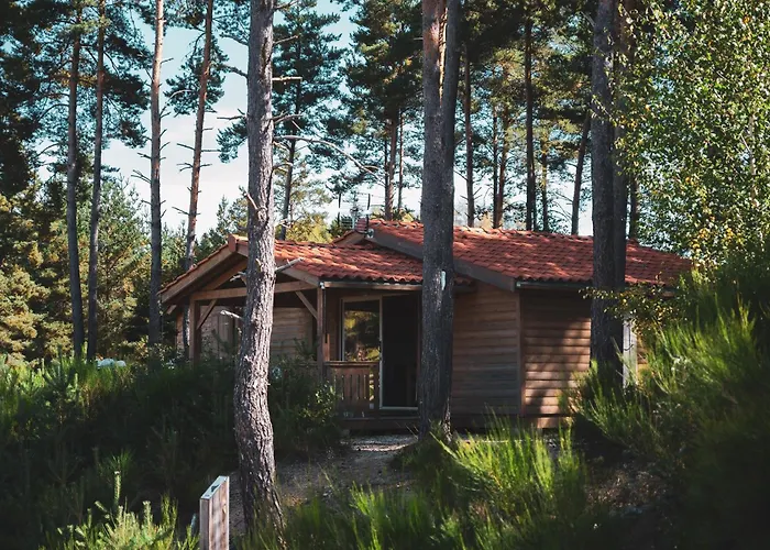 Les Chalets Du Haut-Forez