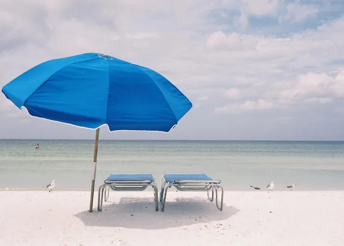 Tropical Beach s - Sarasota