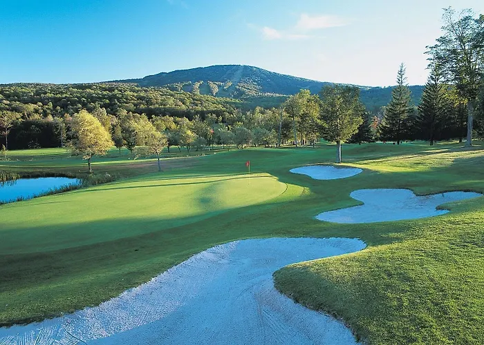 The Black Bear Lodge At Stratton Mountain Resort