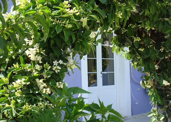 Villa Eliza